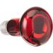 Trixie 76096 Infrared Heat Spot Lamp - 75W 100mm - Ideal for Pet Heating & International Shipping - Buy Online on GoSupps.com