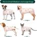 Kuoser Dog Body After Surgery | Breathable Recovery Suit for Male Dogs | Leakage Protection & Anti-Licking | Pale Pink XL (1 Pack) - Buy Online on GoSupps.com