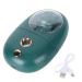 Facial Mist Sprayer Silent ABS Cute Animal Face Mist Humidifier USB Rechargeable 500mah for Office (Green)