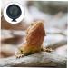 Yardwe 3 Pcs Thermometer Reptilians Mini Turtles Room Digital Turtle Hygrometer Pet Animal Blackx3pcs 6.5X6.5X3cmx3pcs - Buy Online on GoSupps.com