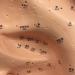 FXQ Ohrakuupunst Model - HD Chinese Medicine Ear Model for Acupoint & Meridian Training | Human Giant Ohrakupunste - Buy Online on GoSupps.com