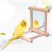 2Pcs Parrot Hanging Swing Mirror Fun Wooden Parrot Mirror Hanging Wooden Bird Mirror Toy Parrot Toy Budgie Mirror for Small Birds - Buy Online on GoSupps.com