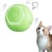 Peticularz cat toys self-employment electrical Powerball 2.0 for cats interactive wloom intelligence cat ball magic ball (green with petals) flower green