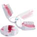 LVCHEN 2 Times Teeth Model with Toothbrush - Dental Large Teeth Model for Kids Dental Teaching Study - Buy Online on GoSupps.com