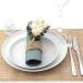 50 APARTina Eucalyptus Green Airlaid Napkins - Fabric-Like 40x40 cm | Premium Quality for Dining & Events - Buy Online on GoSupps.com