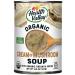Health Valley Organic Soup, Cream of Mushroom, 14.5 Oz (Pack of 12) Cream of Mushroon