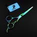 6.0 Inch Professional Japan 440C Hair Cutting Scissors - Salon Quality Blending/Thinning Shear for Barber or Home Use - B-green - Buy Online on GoSupps.com
