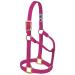 WEAVER Leather Non-adjustable Halter Raspberry Small Horse