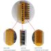 Shoe Brush 3-Sided Cleaning Brush Suede Frosted Shoe Cleaner Multifunctional Shoe Brush Tool Brush Ramdom Color - Buy Online on GoSupps.com