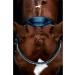 Schockem hle Malibu Anatomic Snaffle Bridle Black for Thoroughbreds - Premium Quality Equestrian Gear Worldwide Shipping - Buy Online on GoSupps.com