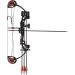 PANDARUS Compound Bow Archery Set for Youth and Beginners - 19-28 Draw Length, 15-29 lbs Draw Weight, 260 fps - Right Handed - Includes Hunting Equipment - Buy Online on GoSupps.com