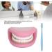 28 Teeth Mouth Hand Puppet for Speech Improvement & Tooth Brushing Lessons - Fun Educational Toy - Buy Online on GoSupps.com