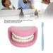 Children's Dental Care Model - Interactive Mouth Doll with 28 Teeth & Toothbrush for Teaching Brushing Skills - Buy Online on GoSupps.com