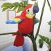 iNszkoos Talking Parrot Toy - Electronic Mimicry Pet Plush for Kids | Educational Learning Tool | Funny Gift | Red - Buy Online on GoSupps.com
