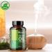 VEGAGENO - Oregano Essential Oil | 180 Vegetable Capsules Dietary Supplement with Extra Virgin Olive Oil and Oregano Essential Oil with Omega 9 and Carvacrol | Oregano Oil - Buy Online on GoSupps.com