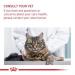 Royal Canin Digestive Comfort Cat Food 2 kg - Supports Digestive Health - Buy Online on GoSupps.com