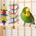 upain Bird Toys 8 Pack Parrot Toy Set Bells Hanging Swing Shredding Chewing Toy for Cage Bird Ringneck Parrot Parakeets Cockatiels Macaws Finches Mynah Budgies Small Birds - Buy Online on GoSupps.com