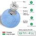 Interactive Self-Strolling Dog Toy Ball - Automatic Remote Control Play with Wicked Ball for Intelligent Dogs - Blue - Buy Online on GoSupps.com