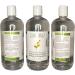 PUROLEO Witch Hazel Toner 16 Fl Oz/473 ML (Packed in Canada) Refresh and Revitalize Your Skin with | Premium Bottle | Luxury Skin Care Toner | Facial Toner for Postpartum & Skincare 473 ml (Pack of 1) - Buy Online on GoSupps.com