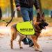 Anxious Dog Respect My Space Dog Jacket Vest Alert Slogan Warning Vest Rescue Dogs Anxious Dogs Gift (ANXIOUS space Large) ANXIOUS space L EU - Buy Online on GoSupps.com