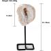 Natural Agate Slice with Metal Stand Crystal Geode Raw Crystal White Crystal Clusters Minerals Specimen Geode Agate Stone for Crystal and Home Decor PEIQIYIN Stone Mineral Specimen - Buy Online on GoSupps.com