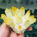 Home Natural Ghost Phantom Quartz Crystal Cluster Specimen Home Goods (Size : 950-1000g) - Buy Online on GoSupps.com