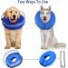 Small Crates for Dogs | 2-in-1 Inflatable Dog Collar for Recovery & Protection After Surgery | Best Protective Collar for Pets - Buy Online on GoSupps.com