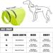 Buy Adjustable Reflective Warning Vest for Dogs - Fluorescent Yellow Safety Gear for Night Walks - Buy Online on GoSupps.com