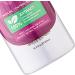 Shampooing Et Apr s-shampooing L'oignon Nettoyage En Profondeur Doux Volumateur Et Longue Dur e | Shampoing Anti-huile Pour Femme Pour Peaux S ches Grasses Fines Grossi res Droites Boucl e - Buy Online on GoSupps.com