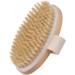 Premium Vegan Dry Body Brush | Natural Bristles Peeling Brush for Exfoliating Dead Skin Ideal for Bathing & Skincare - Buy Online on GoSupps.com