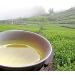 Taiwan unique tea TTES No.12 (Jhinshuan) Alishan Pearl Tea 300g*2 - Buy Online on GoSupps.com