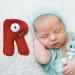 Alphabet Lore Plush Animal Toy - Educational Stuffed Doll for Kids and Adults - Cute and Funny Cartoon Design - Perfect Gift for Christmas and Birthdays - Buy Online on GoSupps.com