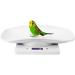 Nachukan Digital Pet Weight Scale - 10kg/1g Measure Tool for Cats Dogs Puppies and Small Animals - Electronic Kitchen Scale - Buy Online on GoSupps.com