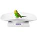 Digital Puppy Scale 10kg 1g Small Pet Weight Scale for Cats Dogs Measure Tool Electronic Kitchen Scale - Buy Online on GoSupps.com