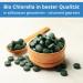 Buy Life Solution Bio Chlorella Tabs - 750 Count (400mg) | Premium Chlorella Tablets for Health - International Shipping Available - Buy Online on GoSupps.com