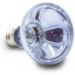 Terra Exotica Neo Spot: UV Heat & Light Reflector for Terrariums (25W-150W) - Perfect for Terrarium Dwellers - Buy Online on GoSupps.com