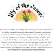 Lily of The Desert Aloe Vera Gel 16 oz - Pack of 2 | Organic Soothing Gel - Buy Online on GoSupps.com