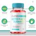 Rapid Keto Gummies with ACV - Advanced Weight Loss Formula - 60 Gummies - Buy Online on GoSupps.com