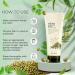 THE FACE SHOP Herb Day 365 Cleansing Foam Mung Bean - Buy Online on GoSupps.com