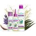 Buy Pure Essentiel Anti-Lice Shampoo - Bio-Certified 100% Natural Daily Use - Removes Lice Larvae & Nits - 200ml Online - Buy Online on GoSupps.com