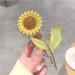 yangzerang Sunflower Hair Claw Clips Women's Sunflower Hair Claw Clips Floral Metal Hair Clips Nonslip Elegant Flower Hair Claw - Buy Online on GoSupps.com