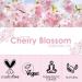 Salcing Cherry Blossom Oil 120ml | 100% Pure Natural Essential Oil for Aromatherapy Diffusers Massage & Gifts - Buy Online on GoSupps.com