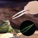 Viagasafamido 18cm Plastic Anti-Slide Reptile Feeder Tweezers | Perfect Tool for Amphibians & Terrariums - Buy Online on GoSupps.com