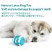 Dog Squeaky Toy 6 PCS Latex Bouncy Egg Balls with Squeaker for Puppy Small Pet Dogs Soft Rubber Sound Toys for Interactive Fetch Play 6 Pack - Buy Online on GoSupps.com