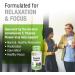 SOLARAY Passion Flower 350mg | Herbal Support | Passiflora Incarnata Aerial with Blossoms | Dietary Supplement | Non-GMO Vegan Lab Verified | 100 Vegetarian Capsules| 6 - Pack Natural 100 count (Pack of 6) - Buy Online on GoSupps.com