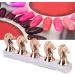 Horse Head Nail Tip Nail Tip Holder DIY Training Tips Display Practice Rack Magnet Adsorption False Nail Display Support Holders False Nail Tip Manicure Tool(Rose Gold) - Buy Online on GoSupps.com