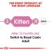 Royal Canin Kitten in JELLY Wet Adult Cat Food (24 x 85g) - Buy Online on GoSupps.com