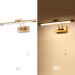 Mantolite LED Picture Lamp 8W 40cm Brass - Swiveling Head 3000K Interior Lighting Ideal for Art Display - Buy Online on GoSupps.com