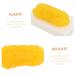 ULTECHNOVO 2pcs Fat Model Plastic Demonstration Device Plastic Anatomical Fat Birthday Headband Body Fat Module - Buy Online on GoSupps.com