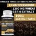 Fermented Wheat Germ Extract 1300mg (120 Capsules) idine Thiamine Zinc - Anti-Aging - Buy Online on GoSupps.com